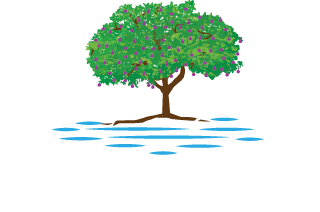 Famous Financial and Insurance Solutions LLC